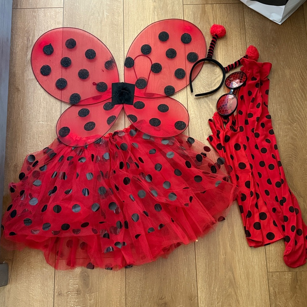 Ladybug Costume Set for Adults
